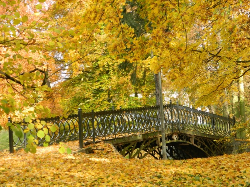Zabytkowy mostek w parku w Opatwku