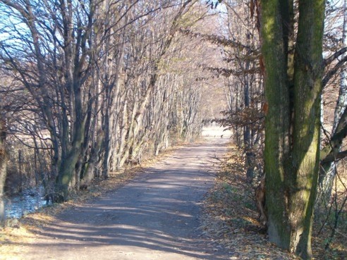 galeria