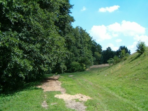 galeria