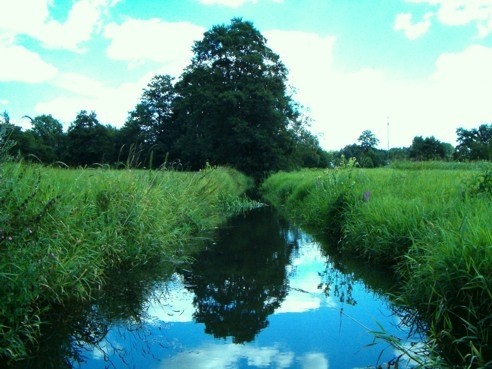 galeria