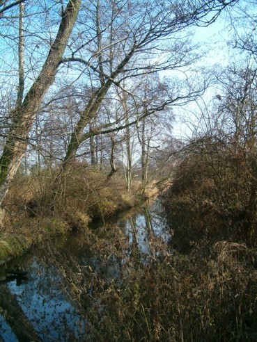 galeria