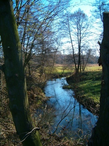 galeria