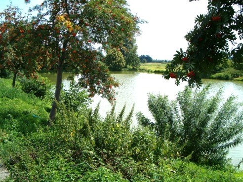 galeria
