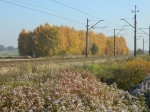 Tory kolejowa w Zawadach