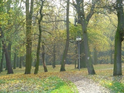 Park