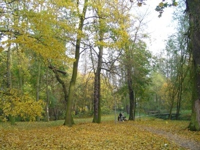 Park