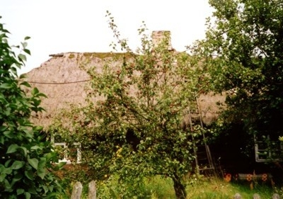 Domy drewniane w gminie Opatówek